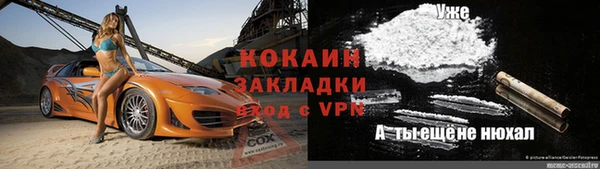 ешки Бородино