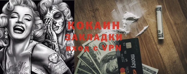 ешки Бородино