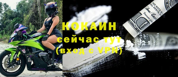 ешки Бородино