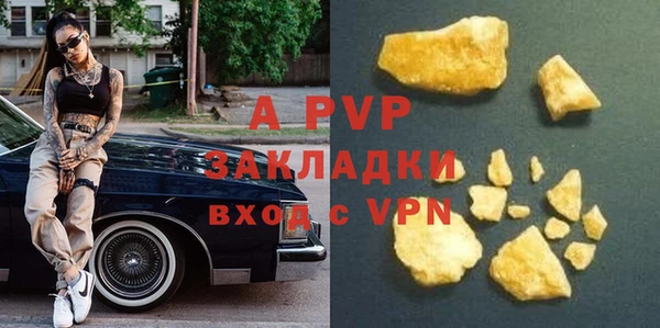 ешки Бородино